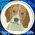 Beagle Embroidery Patch - Click for More Information