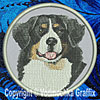 Bernese Mountain Dog BT3514 - 6" Large Embroidery Patch