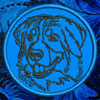 Bernese Mountain Dog Portrait #1 - 4" Medium Embroidery Patch