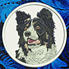 Border Collie HD Portrait #1 10" Double Extra L Embroidery Patch