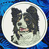 Border Collie HD Portrait #1 - 8" Extra Large Embroidery Patch