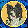 Border Collie HD Portrait #1 - 6" Large Embroidery Patch