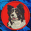 Border Collie HD Portrait #1 - 6" Large Embroidery Patch
