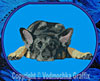 German Shepherd Sleeping HD #1 - 8" Extra Large Embroidery Patch