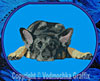 German Shepherd Sleeping HD #1 10" Double Extra Embroidery Patch