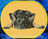 German Shepherd Sleeping HD #1 - 8" Extra Large Embroidery Patch