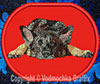 German Shepherd Sleeping HD #1 - 6" Large Embroidery Patch