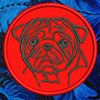 Pug Portrait #1 - 4" Medium Embroidery Patch