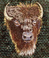 Bison High Definition Embroidery Portrait #1 on Canvas 9X12