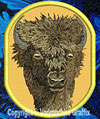 Bison HD Portrait #1 - 4" Medium Size Embroidery Patch