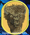 Bison HD Portrait #1 - 6" Large Embroidery Patch