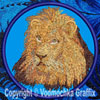 Lion HD Portrait #1 - 8" Extra Large Embroidery Patch
