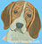 Beagle Portrait HD#1 - High Definition Collection - Click Picture for Details