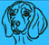Beagle Portrait #1 - Graphic Collection - Click Picture for Details