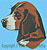 Beagle Portrait BT2298 - Balboa Collection - Click Picture for Details