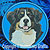 Bernese Mountain Dog Embroidery Patch - Blue