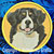 Bernese Mountain Dog Embroidery Patch - Gold