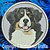 Bernese Mountain Dog Embroidery Patch - Grey
