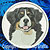 Bernese Mountain Dog Embroidery Patch - White