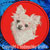 Chihuahua Embroidery Patch - Red