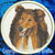 Rough Collie Portrait BT2492 Embroidery Patch - Click for More Information