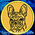 Black Brindle Colored French Bulldog Portrait #1A Embroidery Patch - Gold