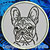 Black Brindle Colored French Bulldog Portrait #1A Embroidery Patch - Grey