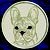 Cream Colored French Bulldog Portrait #1C Embroidery Patch - White
