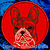White Brindle Colored French Bulldog Portrait #1D Embroidery Patch - Red