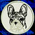 White Brindle Colored French Bulldog Portrait #1D Embroidery Patch - White