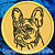 Black Brindle Colored French Bulldog Portrait #2A Embroidery Patch - Gold