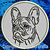 Black Brindle Colored French Bulldog Portrait #2A Embroidery Patch - Grey