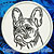 Black Brindle Colored French Bulldog Portrait #2A Embroidery Patch - Click for More Information