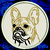 Black Mask Colored French Bulldog Portrait #2B Embroidery Patch - White