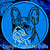 White Brindle Colored French Bulldog Portrait #2D Embroidery Patch - Blue