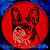 White Brindle Colored French Bulldog Portrait #2D Embroidery Patch - Red