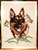 German Shepherd Embroidery Patch - Click for More Information