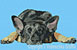 Black and Tan German Shepherd Sleeping HD#1 - High Definition Collection - Click Picture for Details