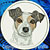 Jack Russell Terrier High Definition Portrait #1 Embroidery Patch - White