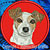 Jack Russell Terrier High Definition Portrait #2 Embroidery Patch - Red