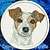Jack Russell Terrier High Definition Portrait #2 Embroidery Patch - White