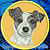 Jack Russell Terrier High Definition Portrait #3 Embroidery Patch - Gold