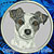 Jack Russell Terrier High Definition Portrait #3 Embroidery Patch - Grey