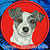 Jack Russell Terrier High Definition Portrait #3 Embroidery Patch - Red
