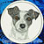 Jack Russell Terrier High Definition Portrait #3 Embroidery Patch - White