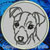 Jack Russell Terrier Portrait #1 Embroidery Patch - Grey