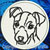 Jack Russell Terrier Portrait #1 Embroidery Patch - Click for More Information