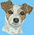 Jack Russell Terrier Portrait HD#1 - High Definition Collection - Click Picture for Details