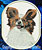 Papillon Dog Embroidery Patch - White