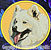 Samoyed Embroidery Patch - Gold